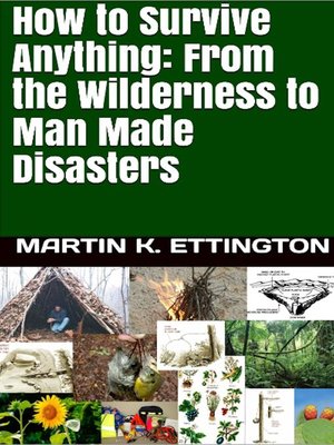 cover image of How to Survive Anything From the Wilderness to Man Made Disasters